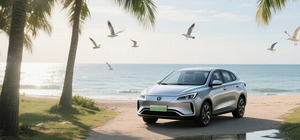 Used new energy vehicles Supplier.jpg