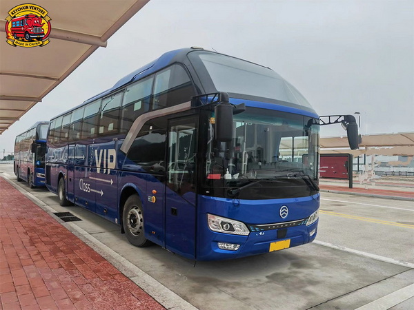 Luxury Golden Dragon Bus Dealers