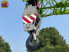 Zoomlion ZTC800V653 .