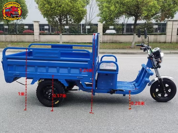 Three Wheel Electric Car