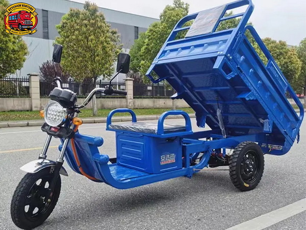 Electric Tricycle